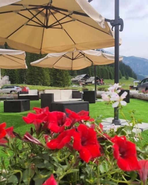 Soggiorno Dolomiti 마친 외부 사진